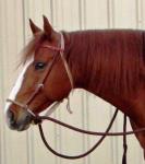 Round Single Rope Hackamore With Braided Rawhide Nose